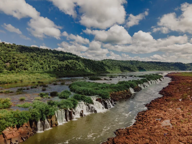 Cataratas y Selva Misionera, foto 5