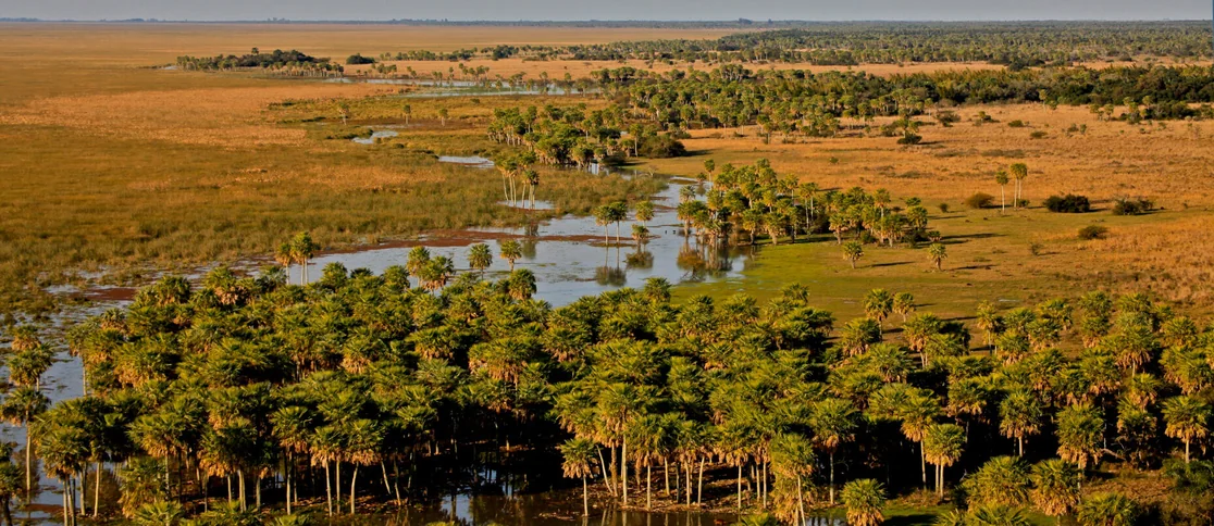 Cataratas y Selva Misionera, foto 6